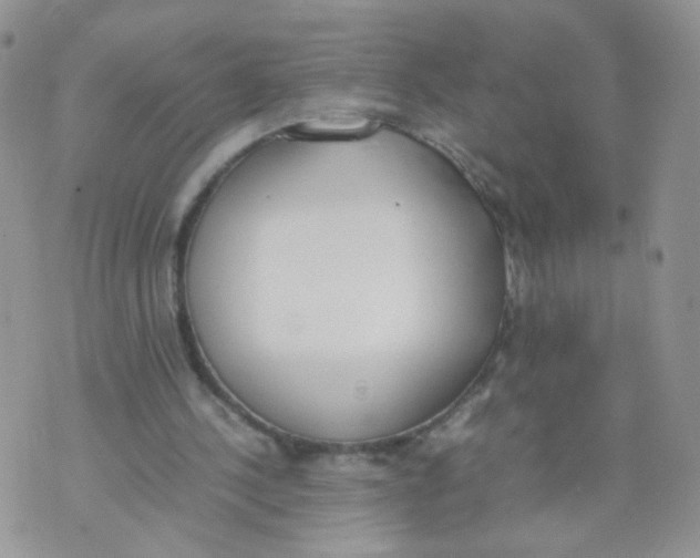 X0000070380244200606301928