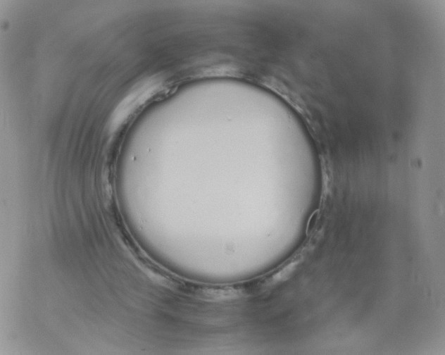 X0000070380245200606301928