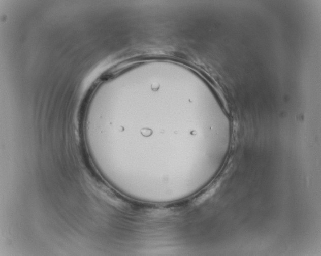 X0000070380246200606301928