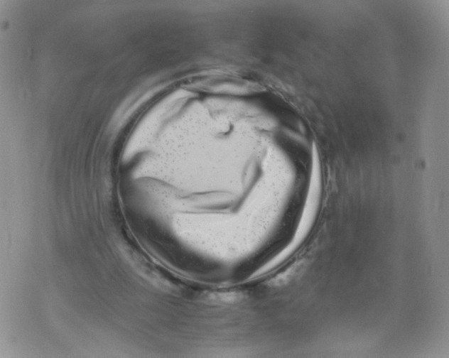 X0000070380247200606301928