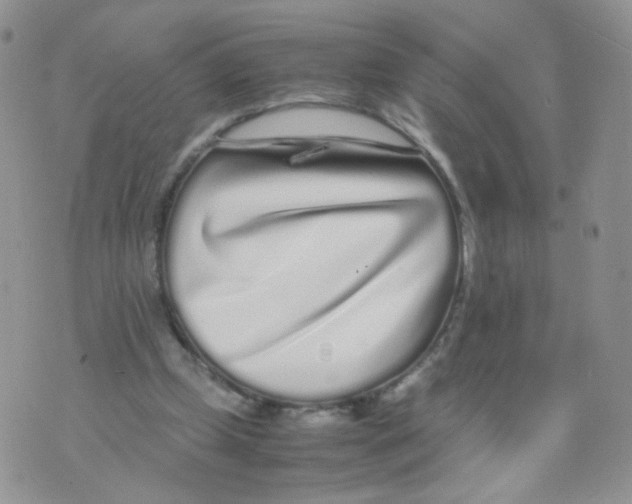 X0000070380249200606301928