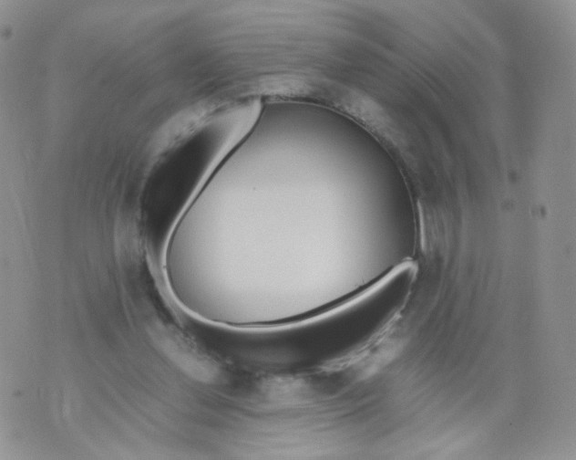 X0000070380252200606301928