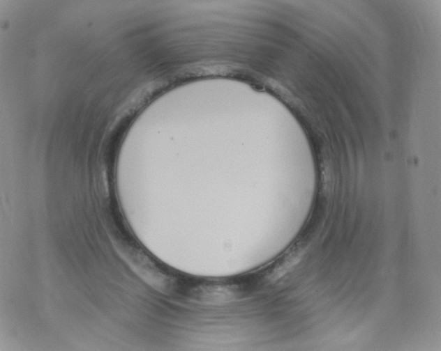 X0000070380254200606301928