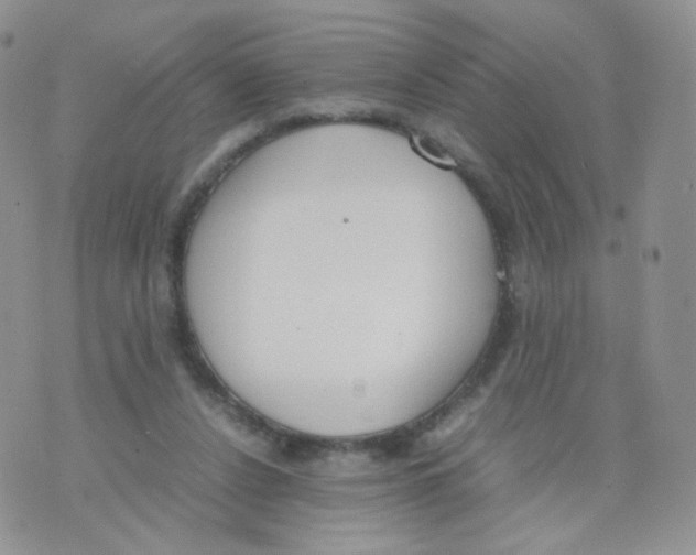 X0000070380256200606301928