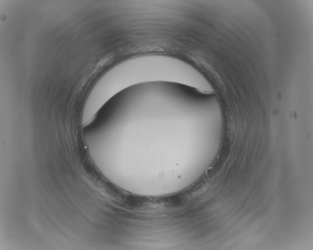 X0000070380260200606301929