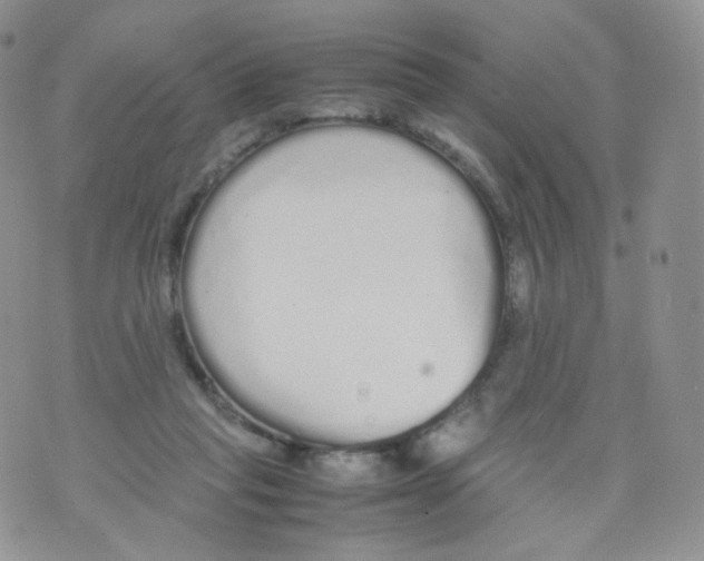 X0000070380261200606301929