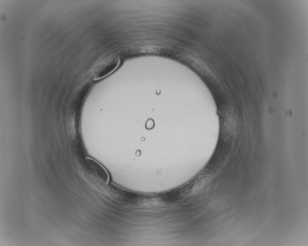 X0000070380262200606301929