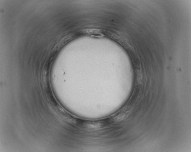 X0000070380263200606301929