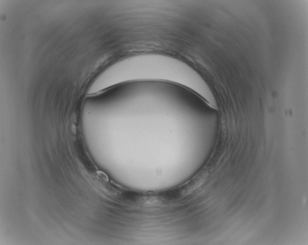 X0000070380264200606301929