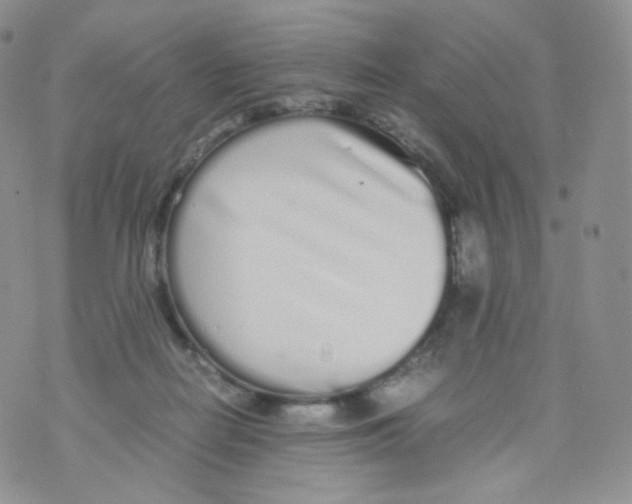 X0000070380266200606301929