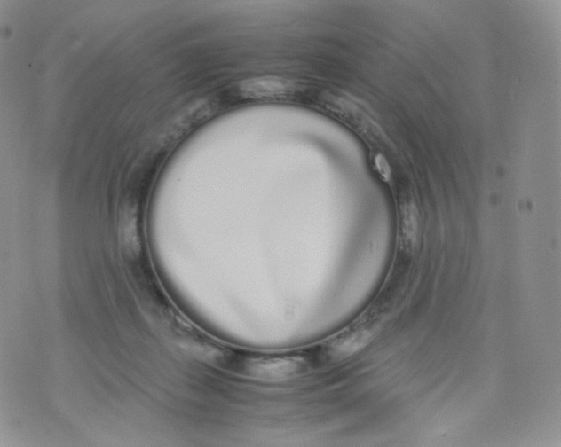 X0000070380267200606301929