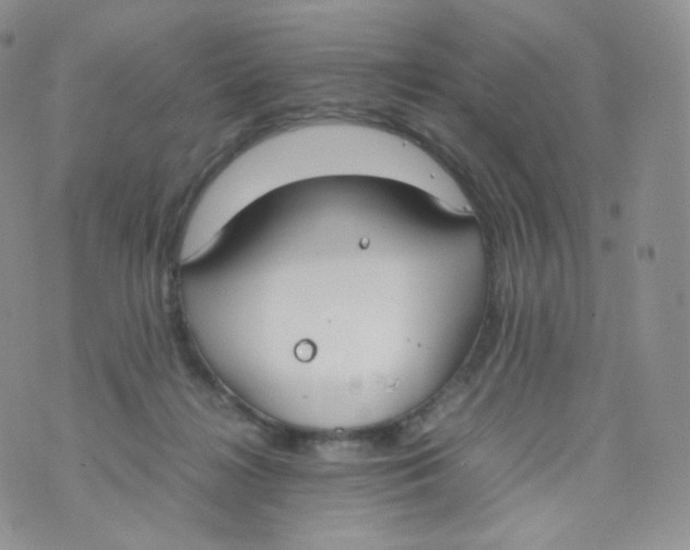 X0000070380268200606301929