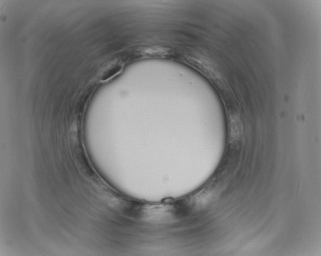 X0000070380269200606301929