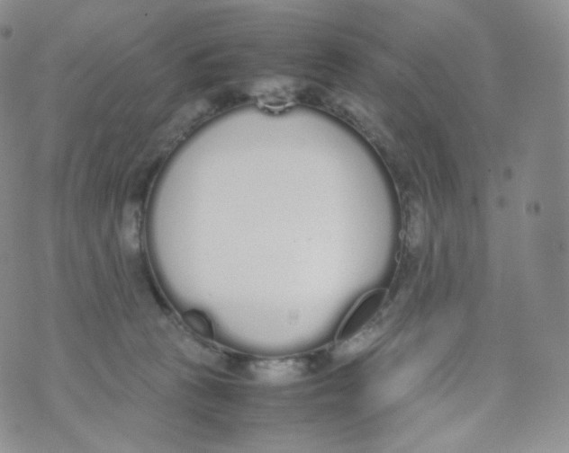 X0000070380273200606301929