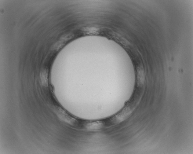 X0000070380274200606301929