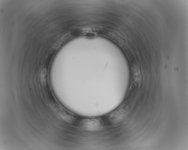 X0000070380275200606301929