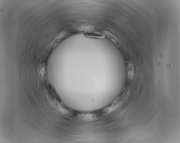 X0000070380276200606301929