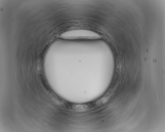 X0000070380277200606301929