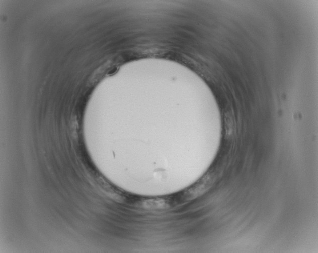 X0000070380279200606301929