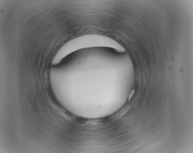 X0000070380280200606301929