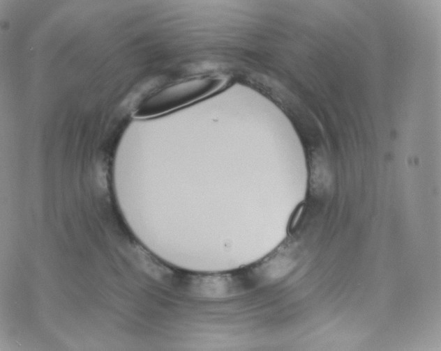 X0000070380282200606301929