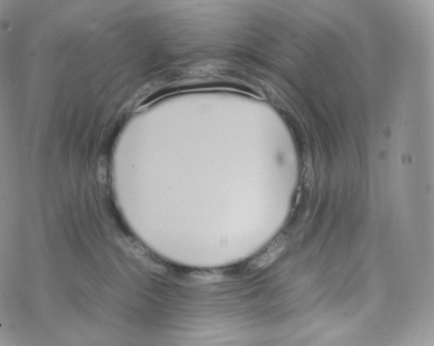 X0000070380284200606301929