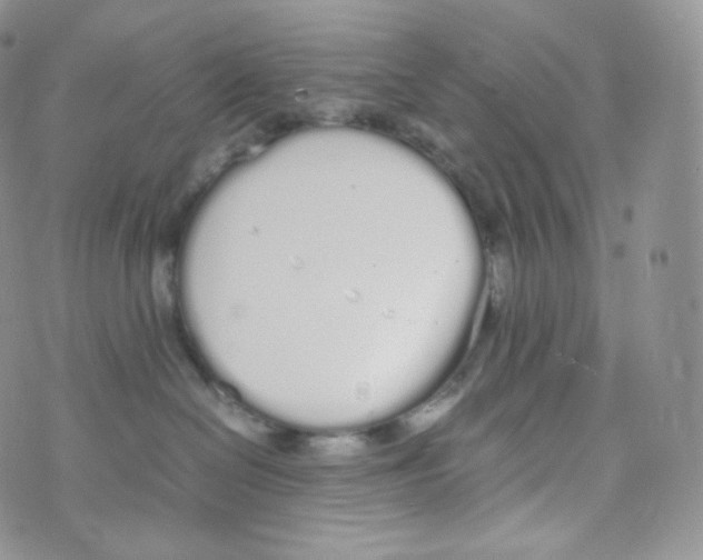 X0000070380286200606301929