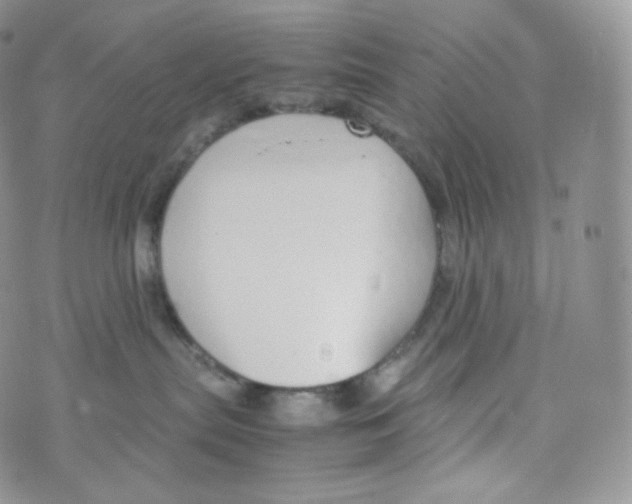 X0000070380287200606301929