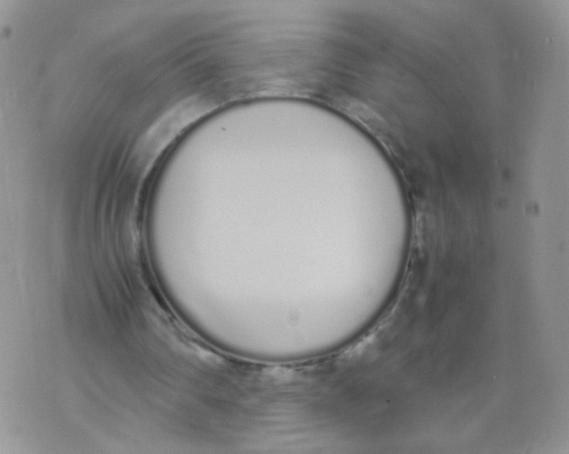 X0000070380290200606301928