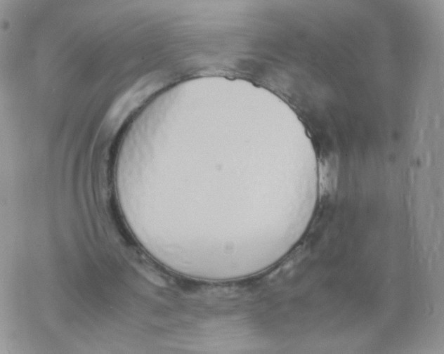 X0000070380291200606301928