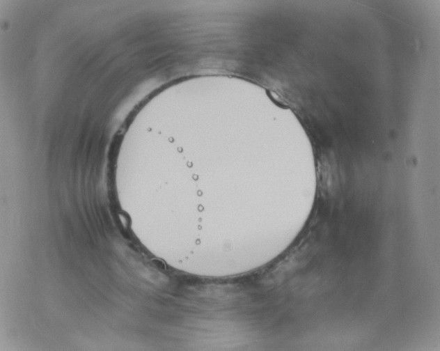 X0000070380292200606301928