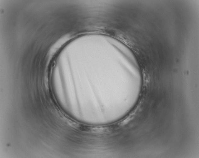 X0000070380294200606301928