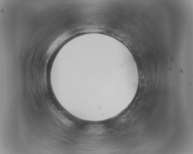 X0000070380296200606301928