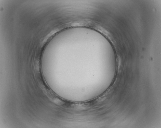 X0000070380297200606301928