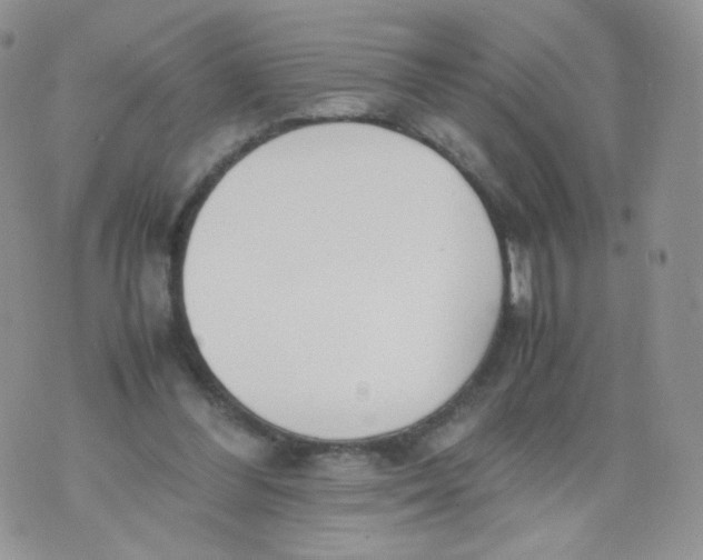 X0000070380300200606301928