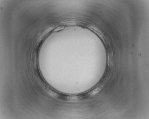 X0000070380301200606301928