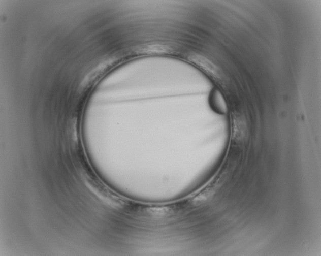 X0000070380302200606301928