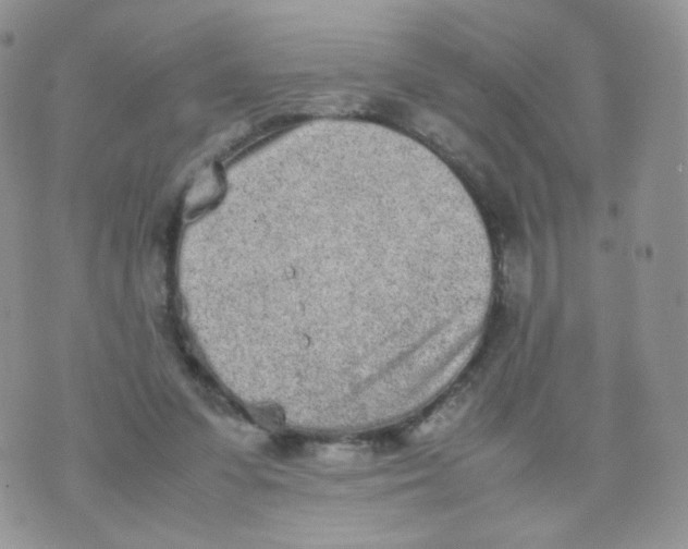 X0000070380303200606301928