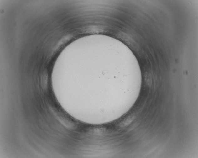 X0000070380304200606301928