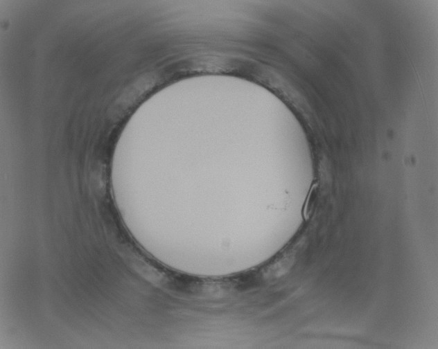 X0000070380305200606301928