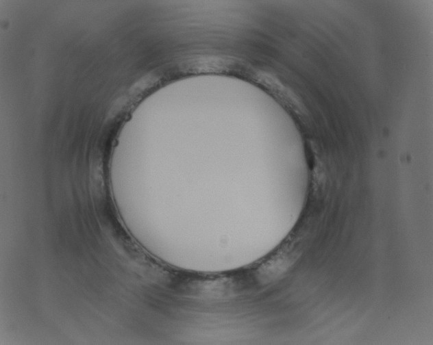 X0000070380306200606301928