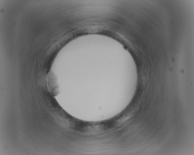 X0000070380307200606301928