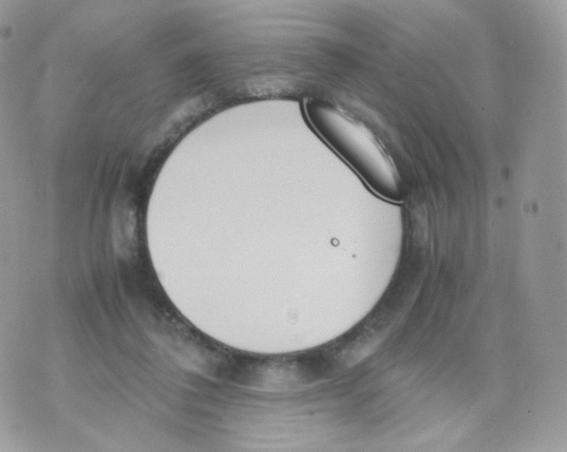 X0000070380308200606301928