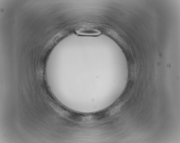 X0000070380309200606301928