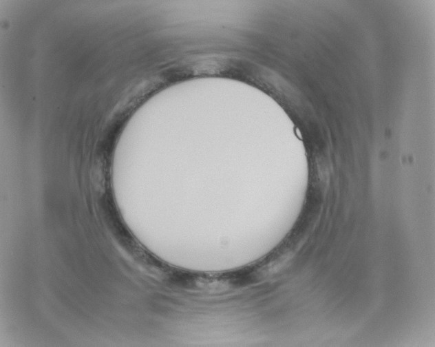 X0000070380311200606301928