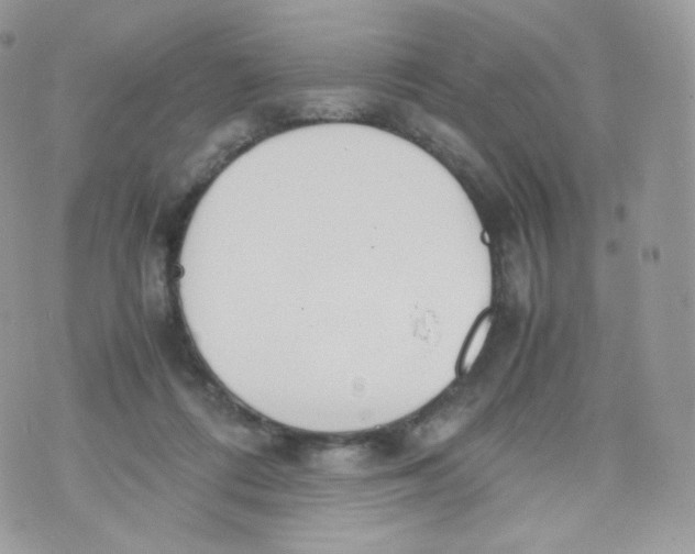 X0000070380312200606301928