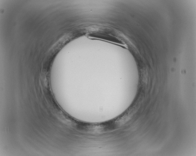 X0000070380313200606301928