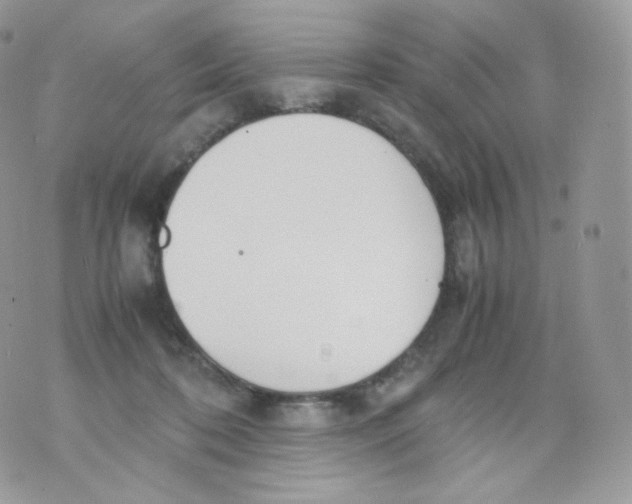 X0000070380316200606301928