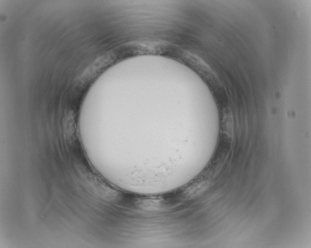 X0000070380318200606301928