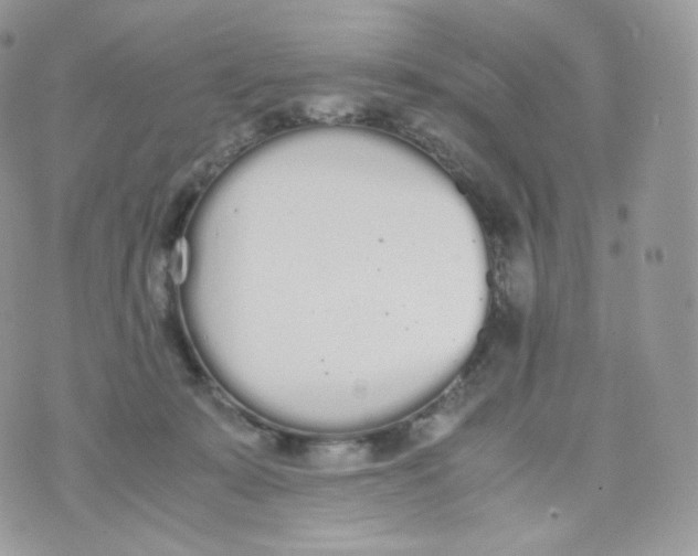 X0000070380319200606301928